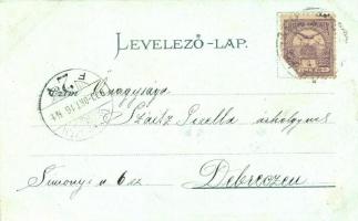 Brassó, Kronstadt, Brasov; Rudolfpark / Rudolfspark / Parcul lui Rudolf / park. Julius Müller 1482. ...