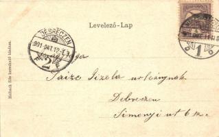 Marosvásárhely, Targu Mures; Cs. és kir. tiszti pavilon, floral Art Nouveau litho keretben lópatkóva...