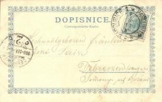 Pardubice, Radnice, Obc. Zalozna, Bile predmesti, Pomnik Bc. Veverku / town hall, monument. Art Nouv...