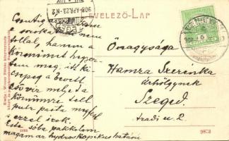 Nagyszentmiklós, Sannicolau Mare; Gróf Nákó Sándor kastély / castle