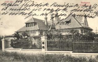 Budapest XII. Grafi Villa. Virányos út 22.