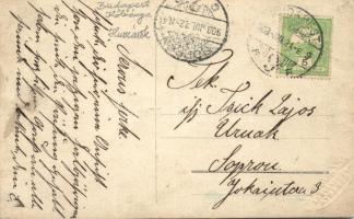 1903 Budapest X. Kőbánya, Huszárok csoportképe / Hussars group, Schmidt photo (EK)