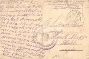 Viribus Unitis propaganda card. Franz Joseph and Charles I of Austria, House of Habsburg, coat of ar...