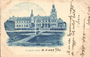 1899 Szabadkígyós, Kígyós, Wenckheim-kastély