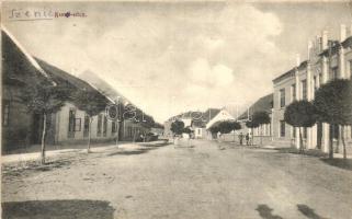 Szenice, Szenicz, Szenica;  Kunoi utca / street view / Strassenbild