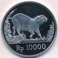 Indonézia 1987. 10.000R Ag Babirussza T:PP Indonesia 1987. 10.000 Rupiah Ag Babirusa C:PP Krause KM#45