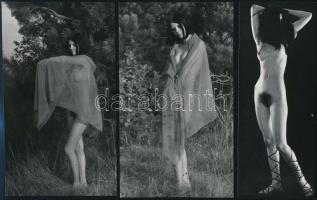 cca 1971 Az órás csalfa leánykája, 6 db szolidan erotikus vintage fotó, 18x7 cm és 18x12 cm között / 6 erotic photos