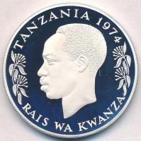Tanzánia 1974. 50Sh Ag "Keskenyszájú orrszarvú" T:PP kis patina
Tanzania 1974. 50 Shiling...