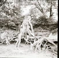 cca 1974 Bárhol, bármikor lehetséges, 13 db szolidan erotikus negatív, 6x6 cm