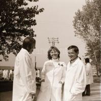 cca 1968 Velence, Agrokomplex Vállalat kiállító csarnoka a BNV-n és egy mintatelep építése, 33 db vi...