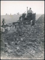 cca 1939 Korschelt Miklós (1900-1982) festő- és fotóművész hagyatékából 3 db vintage fotó, szerzői p...