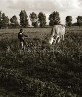 cca 1958 Kecskemét környéki tanyák és emberek, 13 db vintage negatív, Medgyesi László hagyatékából, ...
