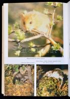 Bükki Nemzeti Park - Kilátás a Kövekről. Szerk.: Sándor András. Bp., 1983, Mezőgazdasági Kiadó. Kart...