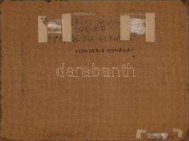 cca 1977 Dr. Lajos Sándor (?-?) szegedi fotóművész feliratozott vintage fotómontázsa, kasírozva, 30x...