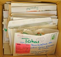 cca 1950-1990 Több száz darab magyar és külföldi borcímke gyűjtemény, borvidékenként borítékokba ren...