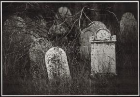 cca 1979 Paksi zsidó temető, 2 db jelzés nélküli vintage fotó, 21x31 cm