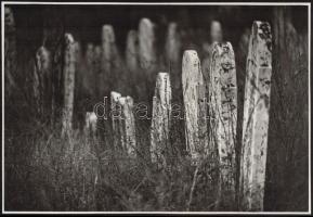 cca 1979 Paksi zsidó temető, 2 db jelzés nélküli vintage fotó, 21x31 cm