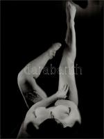 cca 1975 Jelzés nélküli aktfotók, 4 db, 40x30 cm és 40x14 cm között