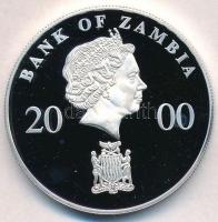 Zambia 2000. 1000K Ag "Kócsagok" multicolor T:PP fo., kis patina
Zambia 2000. 1000 Kwacha...