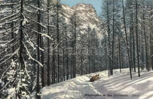 Wintersport in den Dolomiten, Tirol / Sledding in winter in the Dolomites (Rb)