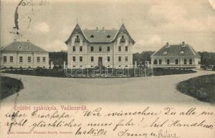 Temesvár, Timisoara; Vadászerdő, Erdőőri szakiskola / forest guard school (hiányzó sarok rész / missing corner piece)