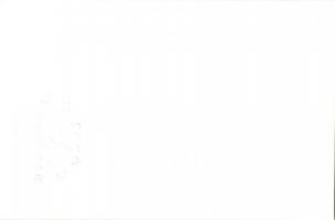 Erotic long-haired nude lady. Lévai Sándor photo