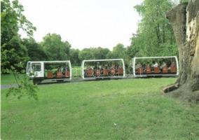 Budapest XIII. Margitsziget - 5 db régi és modern városképes lap, mikrobusz, automobil