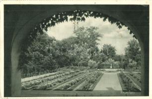 Budapest XIII. Margitsziget - 5 db régi és modern városképes lap, mikrobusz, automobil