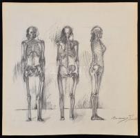 Barcsay jelzéssel: Csontváz tanulmány. Szén, papír, 50×50 cm