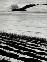 cca 1971 Gebhardt György (1910-1993) budapesti fotóművész hagyatékából 2 db vintage fénykép (téli tá...