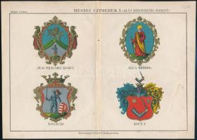 cca 1880 Felvidéki vármegyei címereket is ábrázoló kőnyomatos képek. Nógrád, Hont.28x20 cm