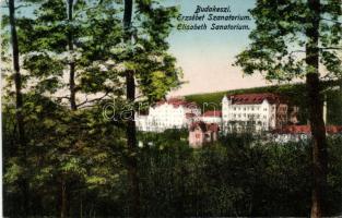 Budakeszi, Erzsébet Szanatórium