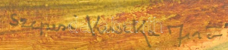 Szepesi jelzéssel: Alpesi táj. Gouache, papír, üvegezett keretben, 16×22 cm