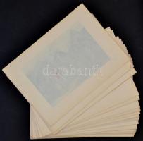 Ősi Erény fényes korszakok a magyar nemzet történelméből.Mind az ötven darab fénymetszet a kiadványb...