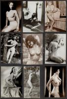 cca 1960 15 db művészi aktfotó + 1 db képeslap kartonra ragasztva, 8,5x6,5 és 15x10 cm