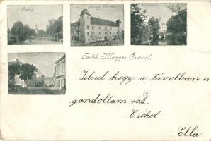 1899 Mosonmagyaróvár, Magyaróvár; Bástya, M. kir. Gazdasági Akadémia, Főhercegi gőzmalom, Templom tér (EK)