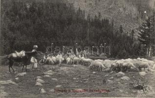 Retyezáti havasok (b)