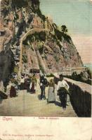 Capri, Salita di Anacapri / peasants going to the market. Edit. E. Ragozino (EK)