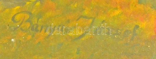 Bányai József (?-?): Erdei patak, olaj, karton, jelzett, üvegezett keretben, 24x32 cm