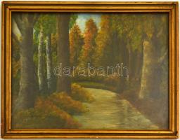 Bányai József (?-?): Erdei patak, olaj, karton, jelzett, üvegezett keretben, 24x32 cm