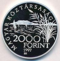 1997. 2000Ft Ag "Régi balatoni hajók / Helka & Kelén" T:PP ujjlenyomat
Adamo EM146