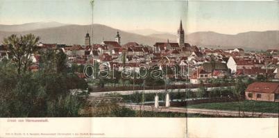 Nagyszeben PAnoramacard (win Riß)