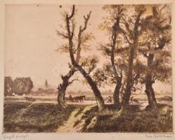 Zádor István (1882-1963): Szajoli országút, színezett rézkarc, papír, jelzett, 23×30 cm