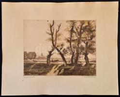 Zádor István (1882-1963): Szajoli országút, színezett rézkarc, papír, jelzett, 23×30 cm