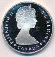 Kanada 1985. 1D Ag "Jávorszarvas" T:PP kis ujjlenyomat
Canada 1985. 1 Dollar Ag "Moo...