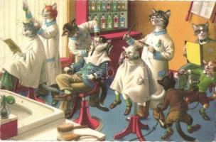 Cat hairdresser and barber shop. Alfred Mainzer - modern postcard (EK)