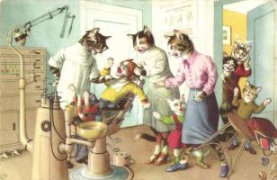Cat dentistry. Alfred Mainzer No. 4872. - modern postcard (EK)