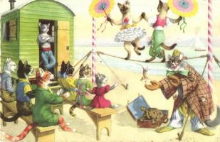Cat circus. Alfred Mainzer No. 4869. - modern postcard (EK)