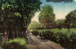 Nagyvárad, Oradea; Rhédey út, villamos / street view, tram (EM)