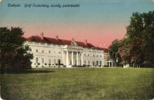 Csákvár, Gróf Eszterházy kastély, park. Loydl T. kiadása (EK)